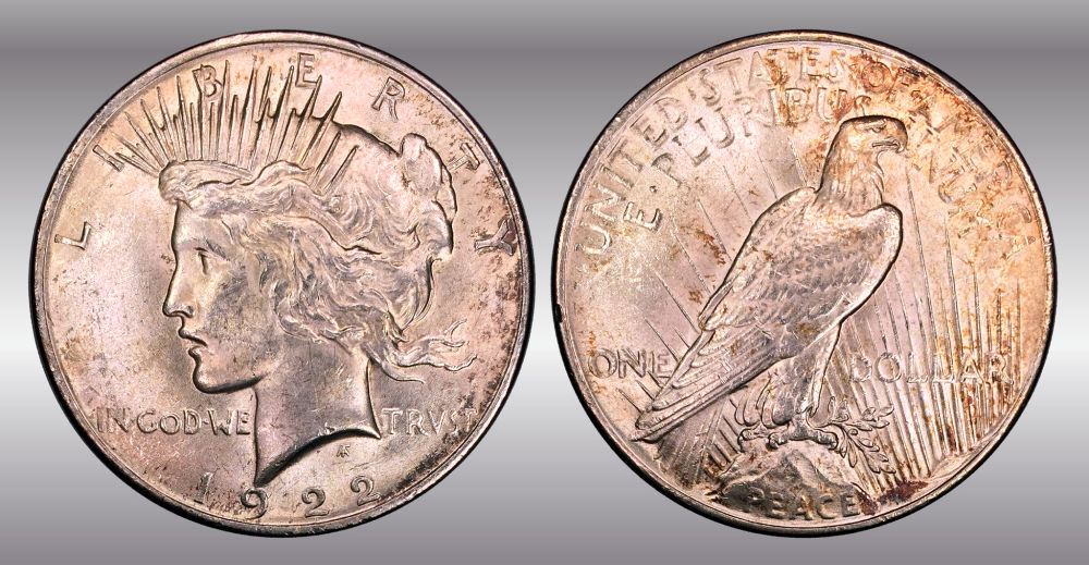 My-Raw-Peace-Dollar-Collection.-.-.-.-Warning!